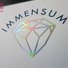 Logo Design für IMMENSUM